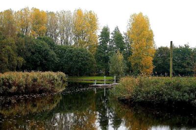 Foto 26 uit Herfst In Beverwaard