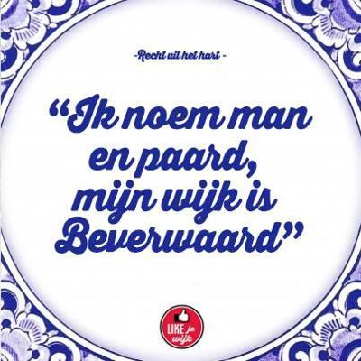 Foto 64 uit LIKEJEWIJK FOTO'S