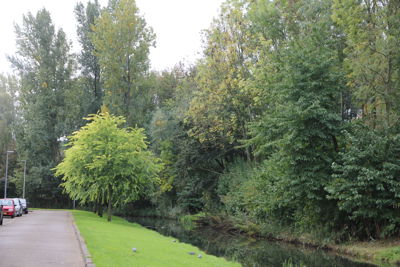 Foto 196 uit Herfst In Beverwaard