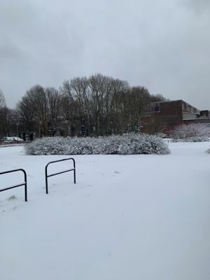 Foto 152 uit WinterIn Beverwaard