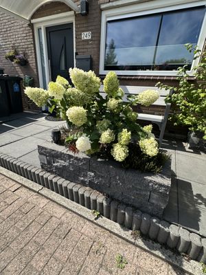 Foto 371 uit Rondje Beverwaard 2026