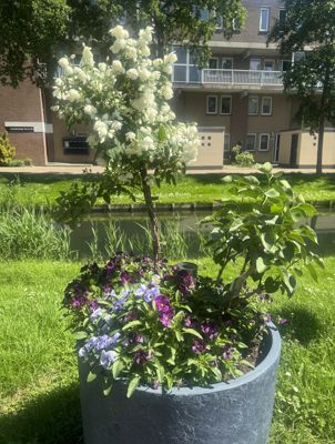 Foto 516 uit Rondje Beverwaard 2026