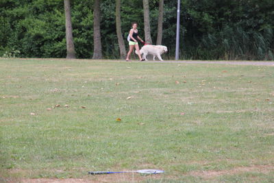 Foto 55 uit Urban SkillszHouse