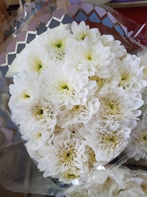 Foto 55 uit NeelyshaBloemen