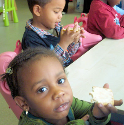 Foto 141 uit Kiddoozzkinderopvang