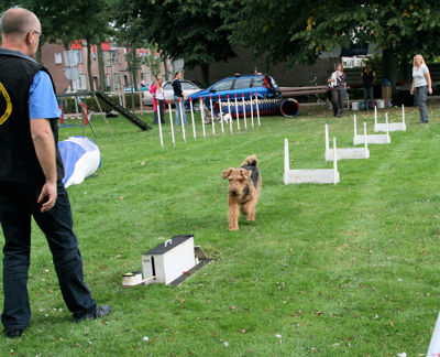 Foto 129 uit Wijkfeest12-09-2009