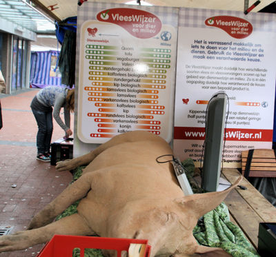 Foto 5 uit Voorjaarsmarkt20_3