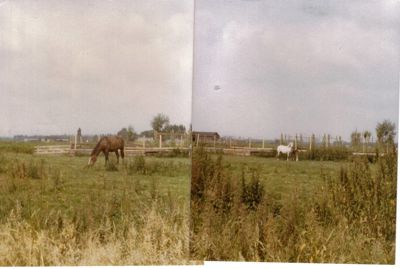 Foto 647 uit SloopEnOpbouwWIJK