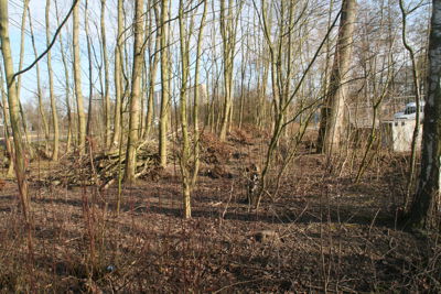 Foto 4 uit Boomplantdag16-3