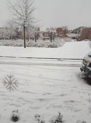 Foto 16 uit WinterIn Beverwaard_2