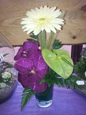 Foto 178 uit NeelyshaBloemen