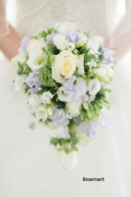 Foto 303 uit NeelyshaBloemen