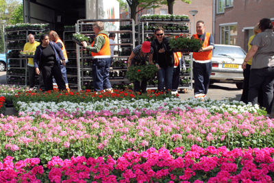 Foto 35 uit Opzoomeren20-05