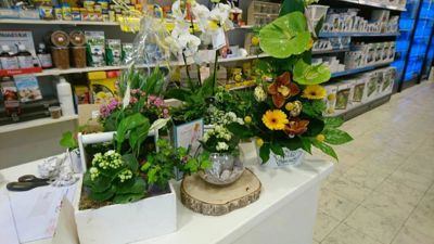 Foto 19 uit Dieren Zaak Catdox