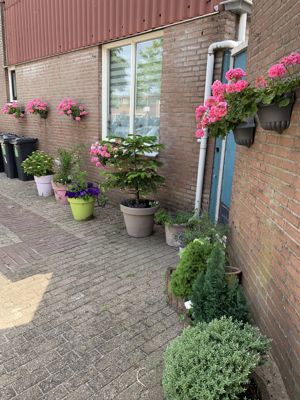 Foto 61 uit Lente En Zomer 2022