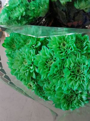 Foto 325 uit NeelyshaBloemen