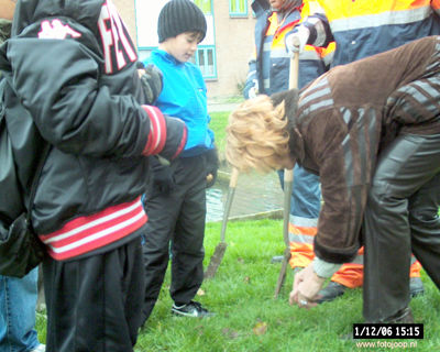 Foto 98 uit bloembollen planten