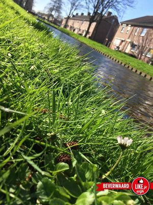 Foto 13 uit LIKEJEWIJK 2017