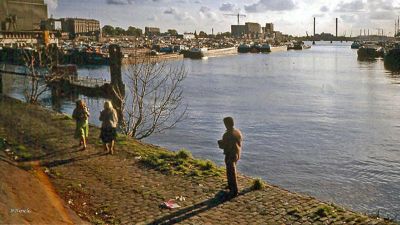 Foto 237 uit Oud Rotterdam Zuid