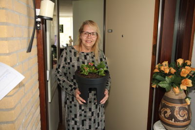 Foto 20 uit Plantjes Ijselburgh