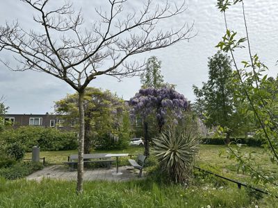 Foto 226 uit Rondje Beverwaard 2026