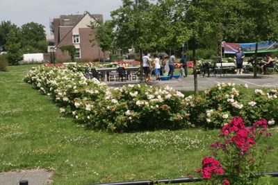 Foto 8 uit TropischeTuin9-7-16