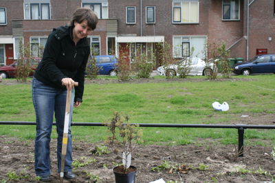 Foto 33 uit Tropische Buurttuin