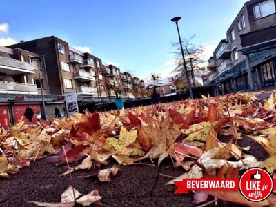 Foto 17 uit Herfst In Beverwaard