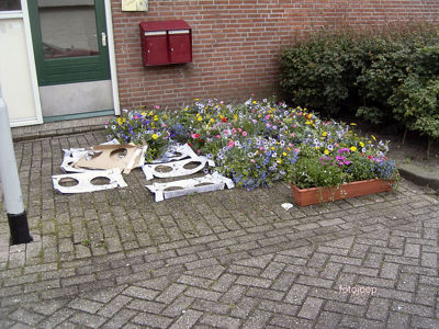 Foto 34 uit opzomeren 2005