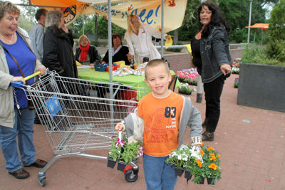 Foto 54 uit OpzoomerenPlantjes