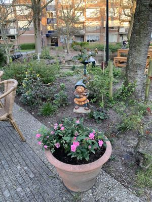 Foto 4 uit Tuin IJsselburgh