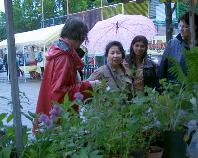 Foto 34 uit opzoomeren 29_5_8