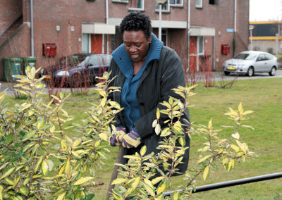 Foto 8 uit Tropische Tuin20-03