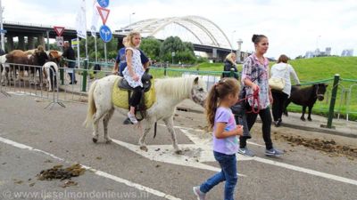 Foto 9 uit Paardenmarkt29-6