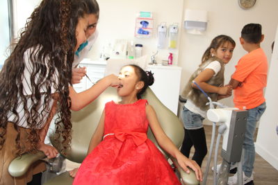 Foto 58 uit Tandenwaard NEW