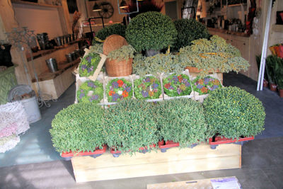 Foto 71 uit De Bloemenboetiek