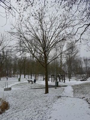 Foto 91 uit WinterIn Beverwaard