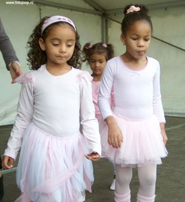 Foto 38 uit Wijkfeest 06-09-08