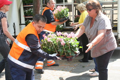 Foto 25 uit Opzoomeren20-05