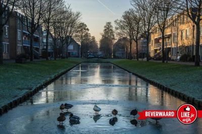 Foto 4 uit ParkenInBeverwaard