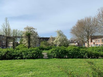 Foto 176 uit Rondje Beverwaard 2026