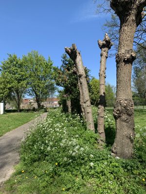 Foto 16 uit Lente En Zomer 2022