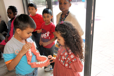 Foto 105 uit Tandenwaard NEW