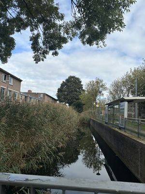 Foto 44 uit X-Herfst Verschillende jaren  2026
