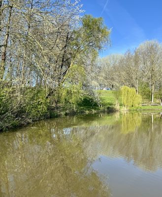 Foto 198 uit Rondje Beverwaard 2026