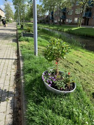 Foto 262 uit StratenBEVERWAARD