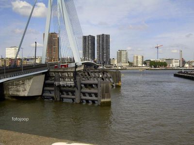 Foto 168 uit red bull air race r.dam