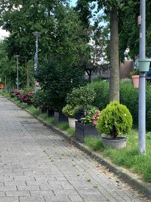 Foto 293 uit Rondje Beverwaard 2026