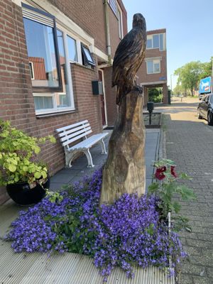 Foto 310 uit Rondje Beverwaard 2026