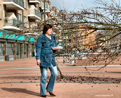 Foto 7 uit wie herkend de foto_